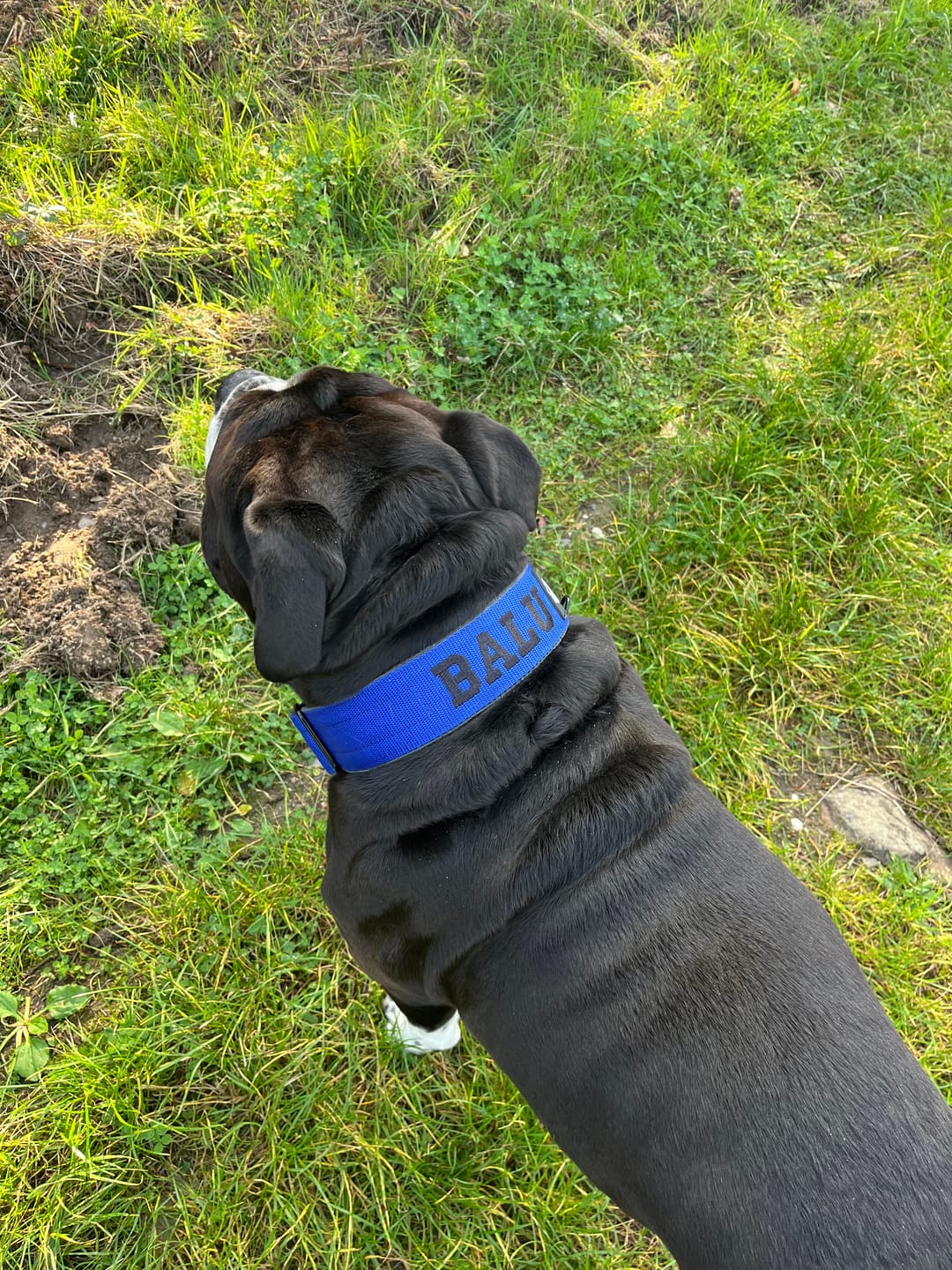 Customer photo review of Extreme Buckle med namn