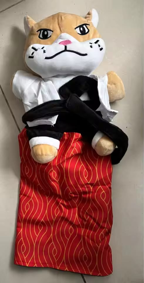 Customer photo review of Boxing Buddies Cat Toy