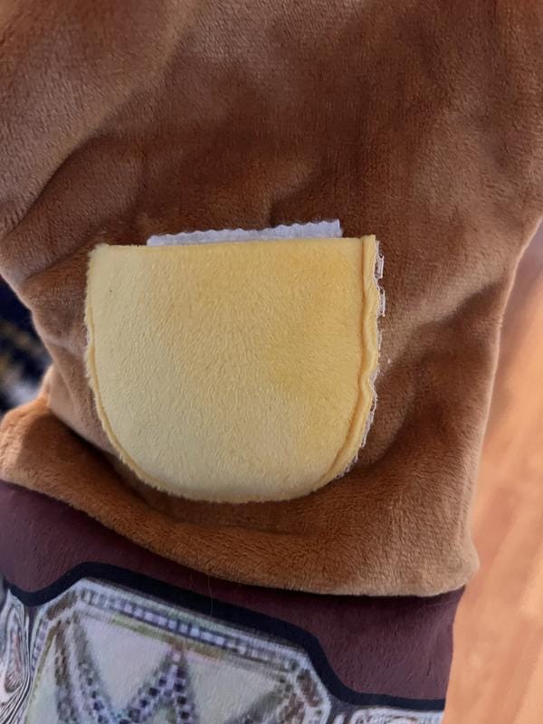Customer photo review of Boxing Buddies Cat Toy