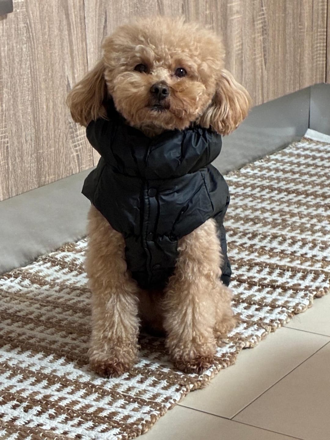 Customer photo review of Sweet Bomber