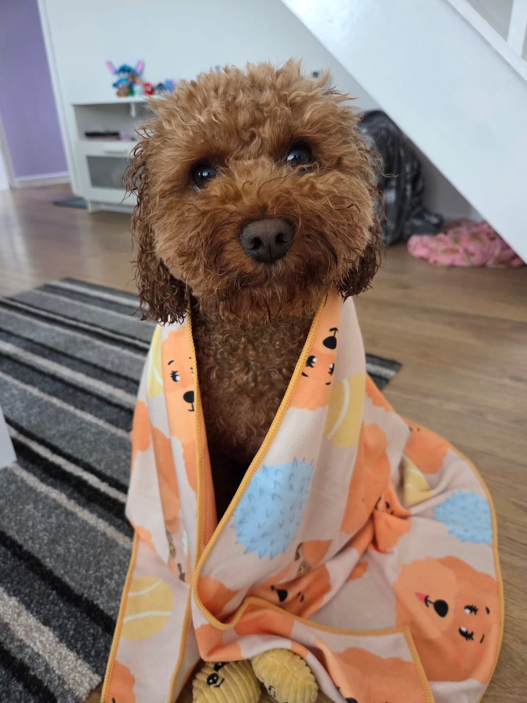Customer photo review of Quick Drying Towel - Curly Club