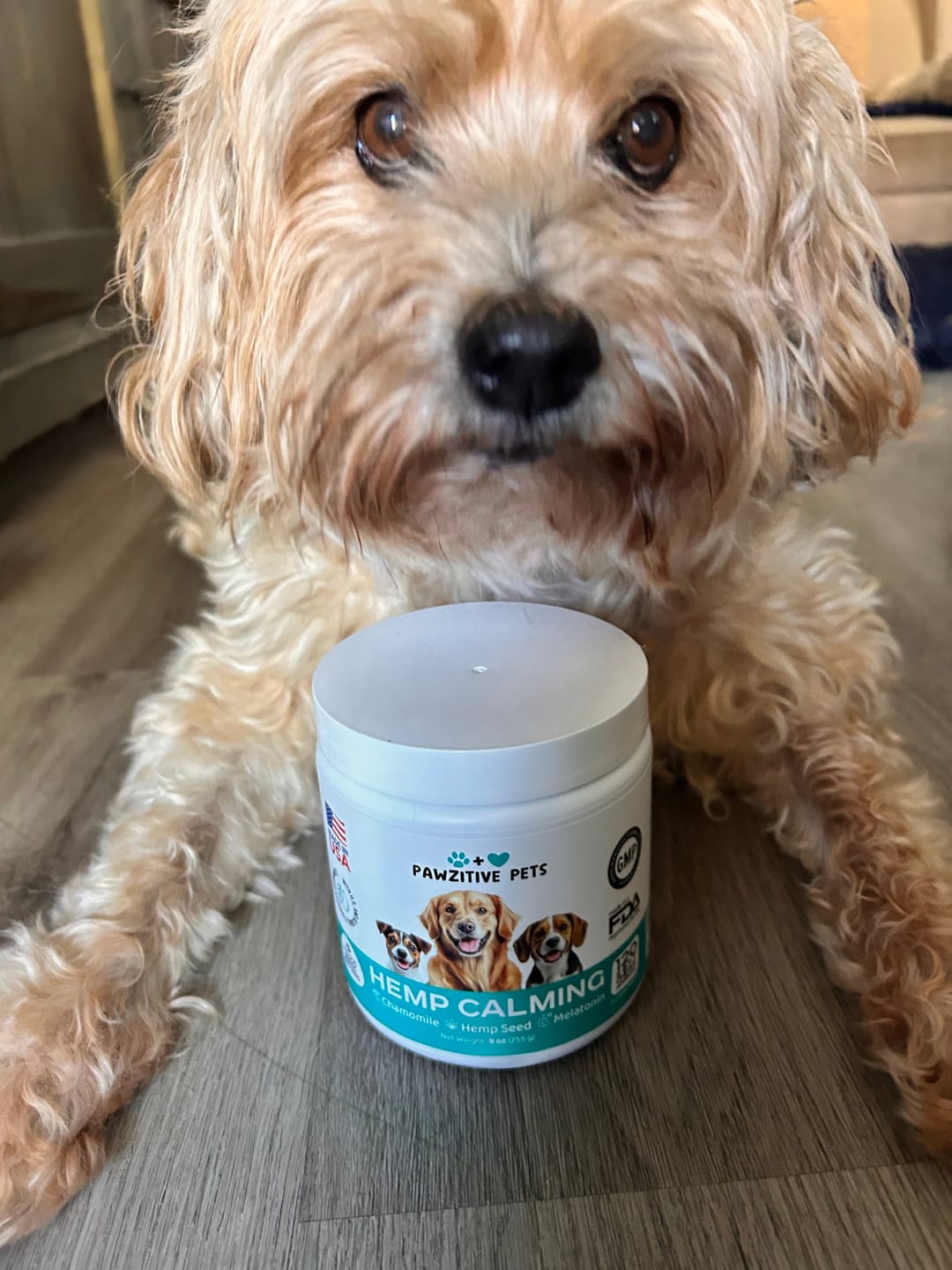 Customer photo review of Hemp Calming Chews for Dogs – 120 Soft Chews