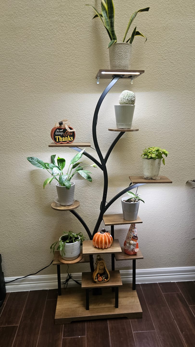 Customer photo review of 63" Indoor Plant Stand with Grow Lights