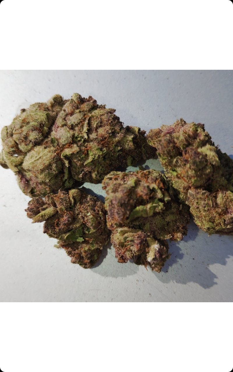 Customer photo review of Cheap THCA Flower Ounce