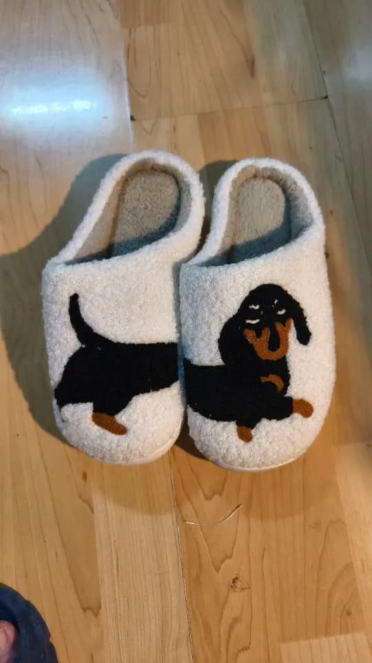 Customer photo review of Women's Dachshund Plush House Slippers, Warm Indoor Slides