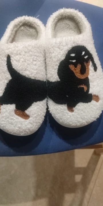 Customer photo review of Women's Dachshund Plush House Slippers, Warm Indoor Slides