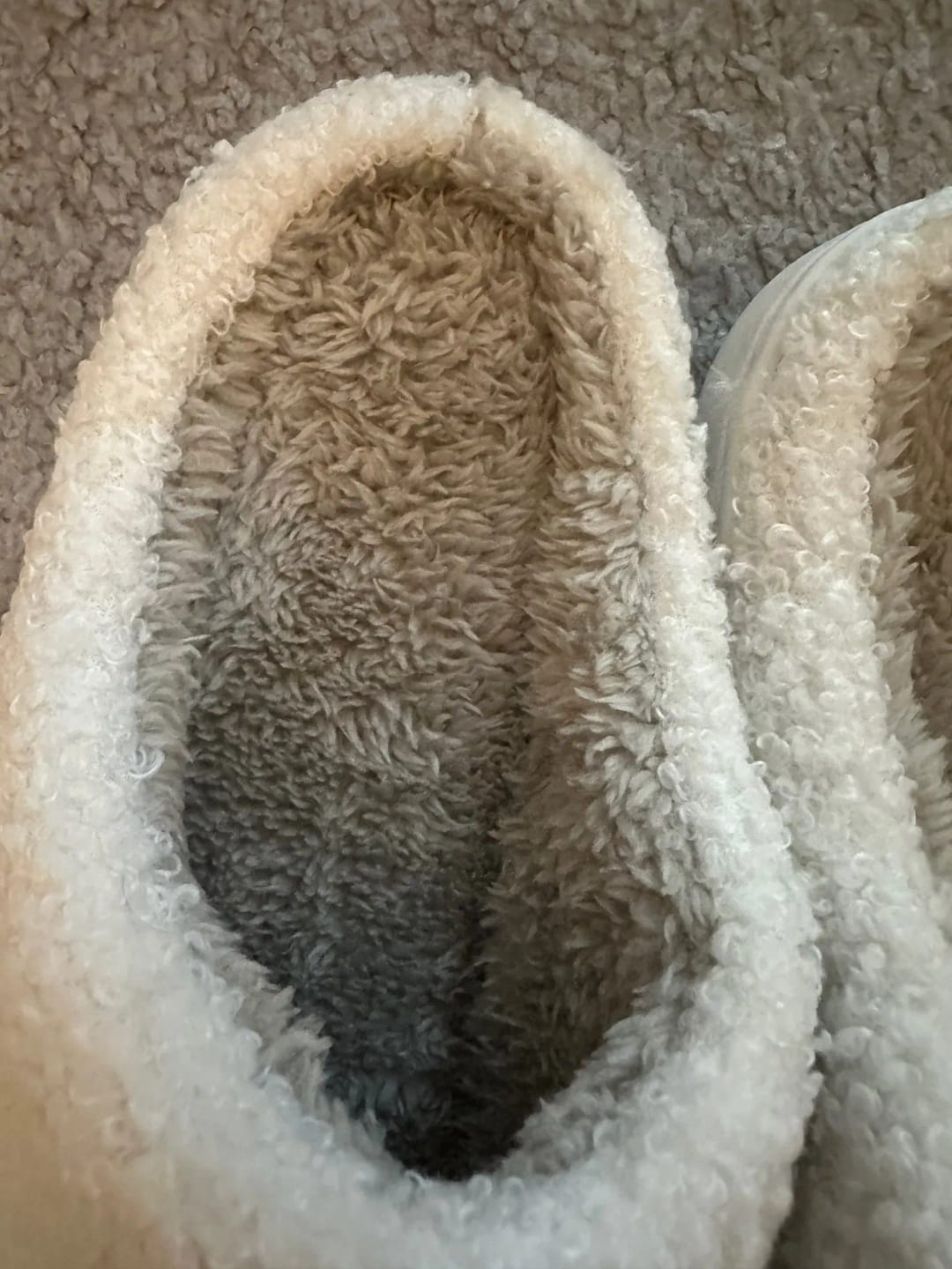 Customer photo review of Women's Dachshund Plush House Slippers, Warm Indoor Slides