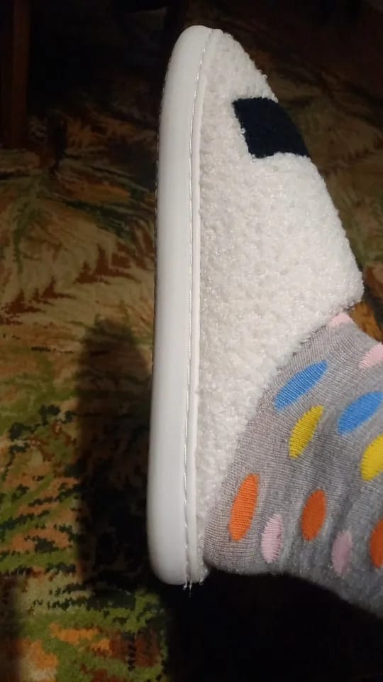 Customer photo review of Women's Dachshund Plush House Slippers, Warm Indoor Slides