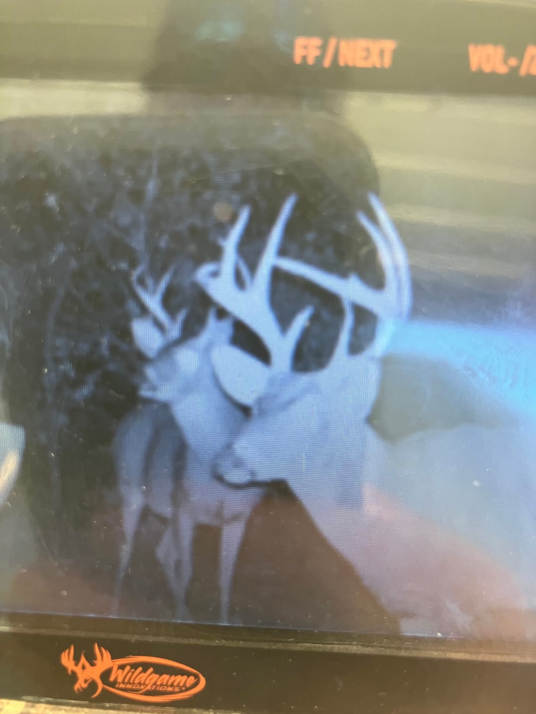 Customer photo review of Buy 2 & Save! Tactacam Reveal X (AT&T) Cellular Trail Camera