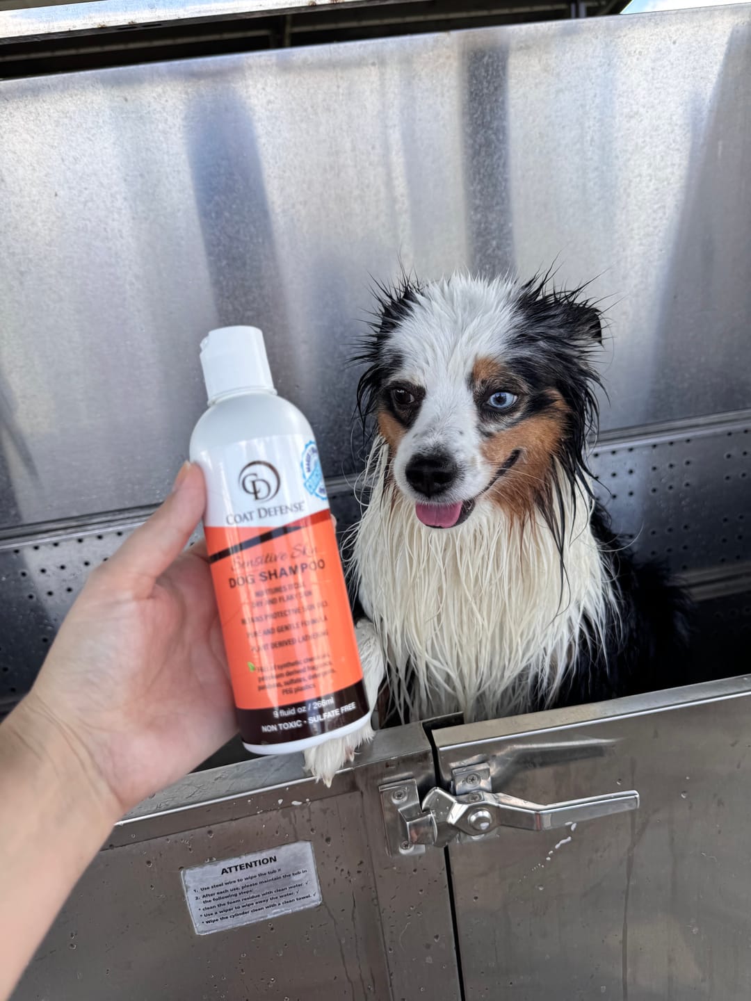 Customer photo review of Best in Show Bundle