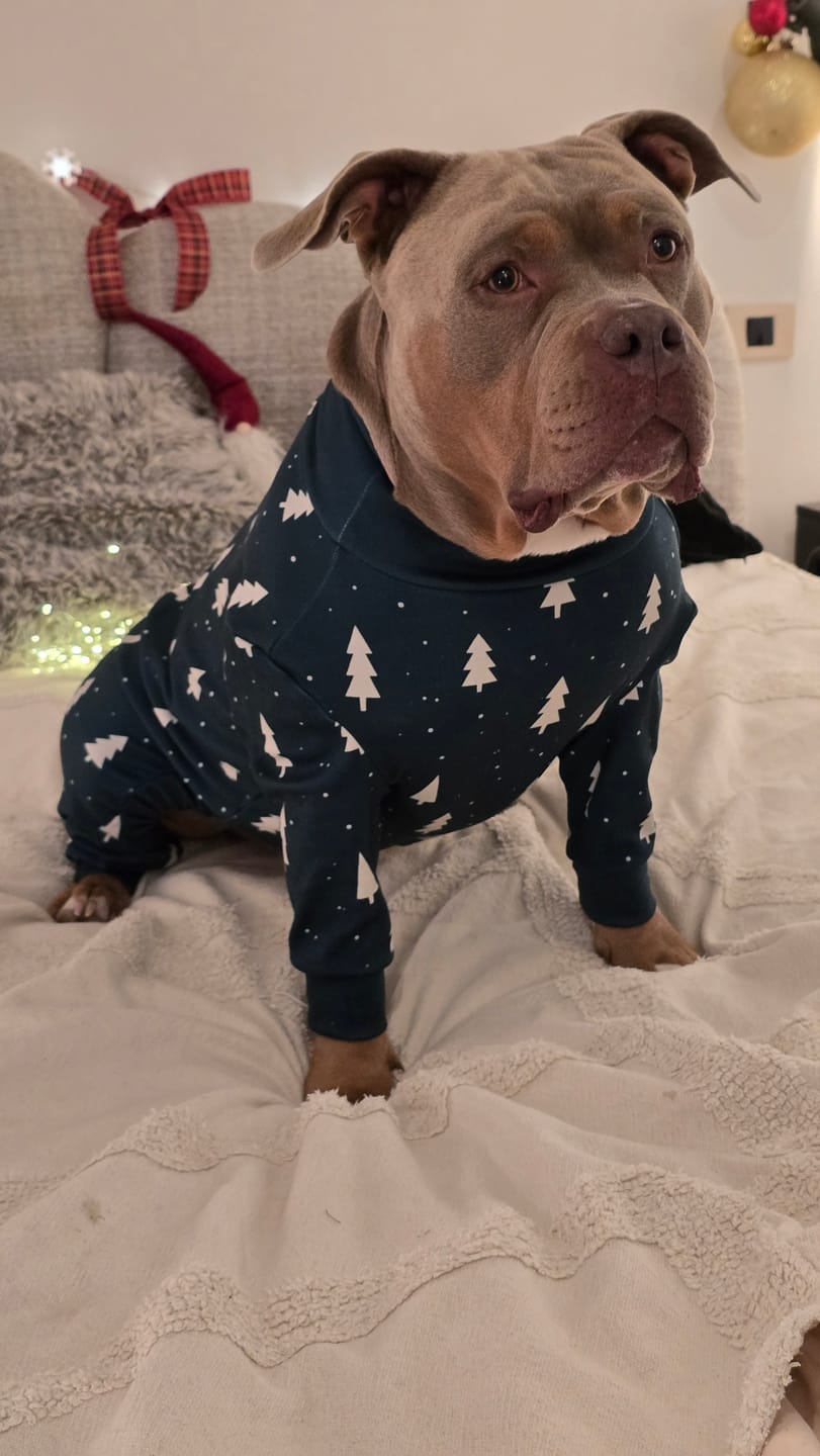 Customer photo review of Dog Christmas Pajama - Frosty Pines