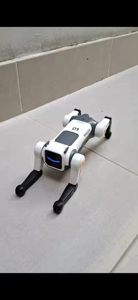 Customer photo review of Chien robot intelligent