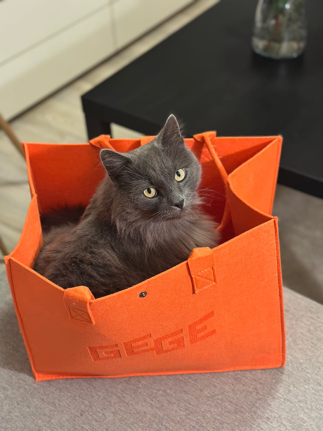 Customer photo review of TOTEE