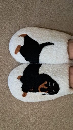 Customer photo review of Women's Dachshund Plush House Slippers, Warm Indoor Slides