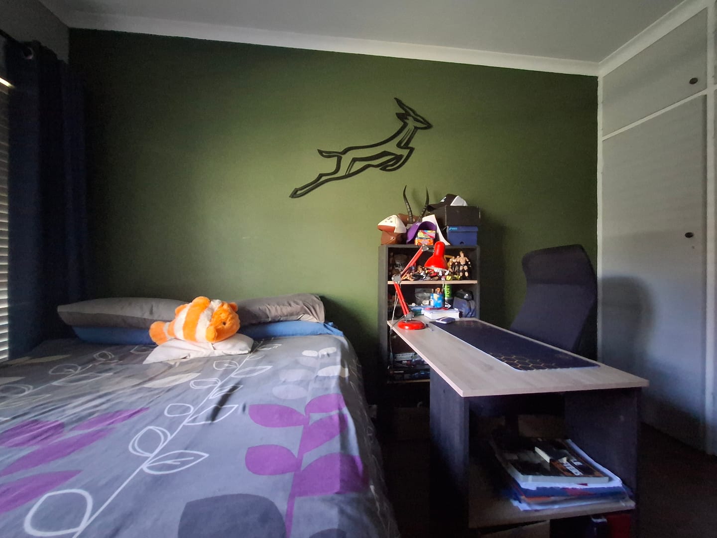 Customer photo review of SPRINGBOKS RUGBY LOGO METAL WALL ART