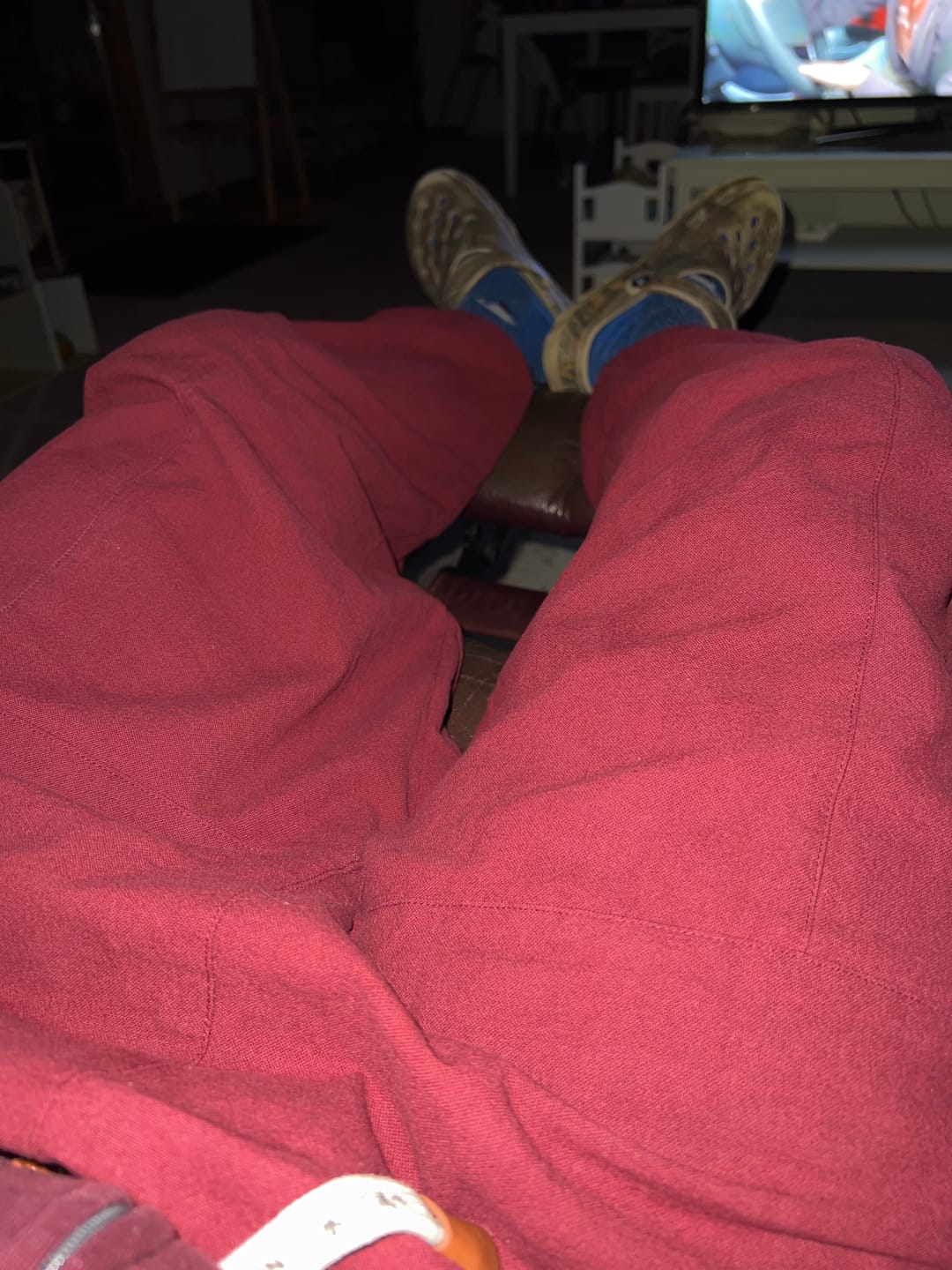 Customer photo review of Kireina Pants 2.0