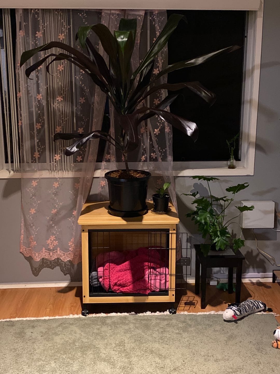 Customer photo review of Premium Wooden Wire Dog Kennel
