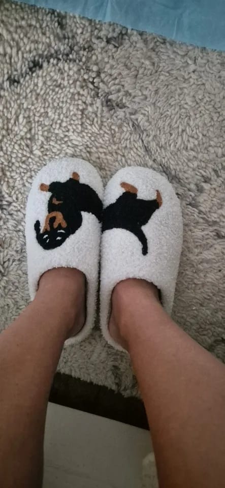 Customer photo review of Women's Dachshund Plush House Slippers, Warm Indoor Slides