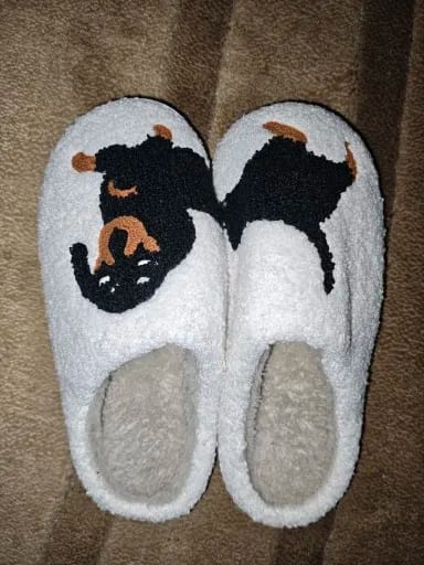 Customer photo review of Women's Dachshund Plush House Slippers, Warm Indoor Slides