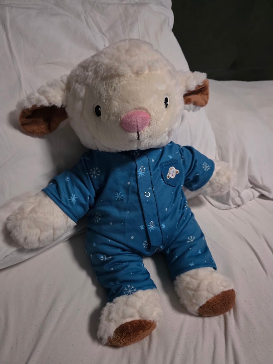Customer photo review of Lotgenootje Schaap 2kg