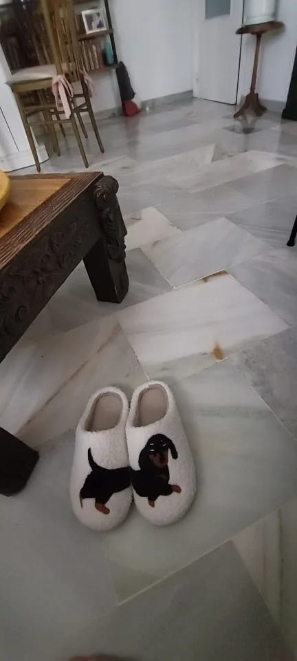 Customer photo review of Women's Dachshund Plush House Slippers, Warm Indoor Slides