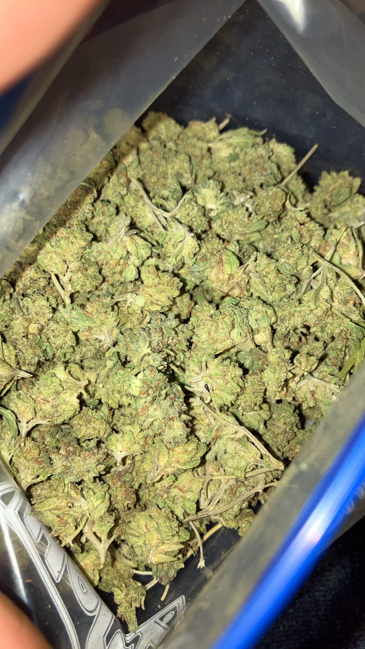 Customer photo review of Strawberry Cough THCA Flower