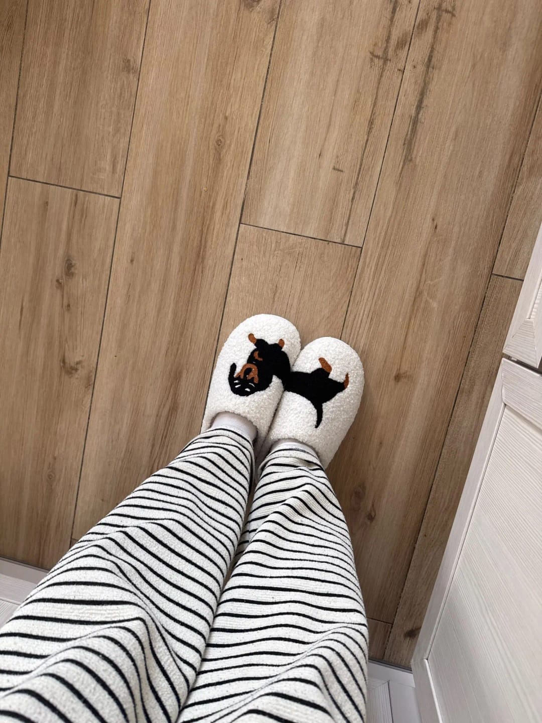 Customer photo review of Women's Dachshund Plush House Slippers, Warm Indoor Slides