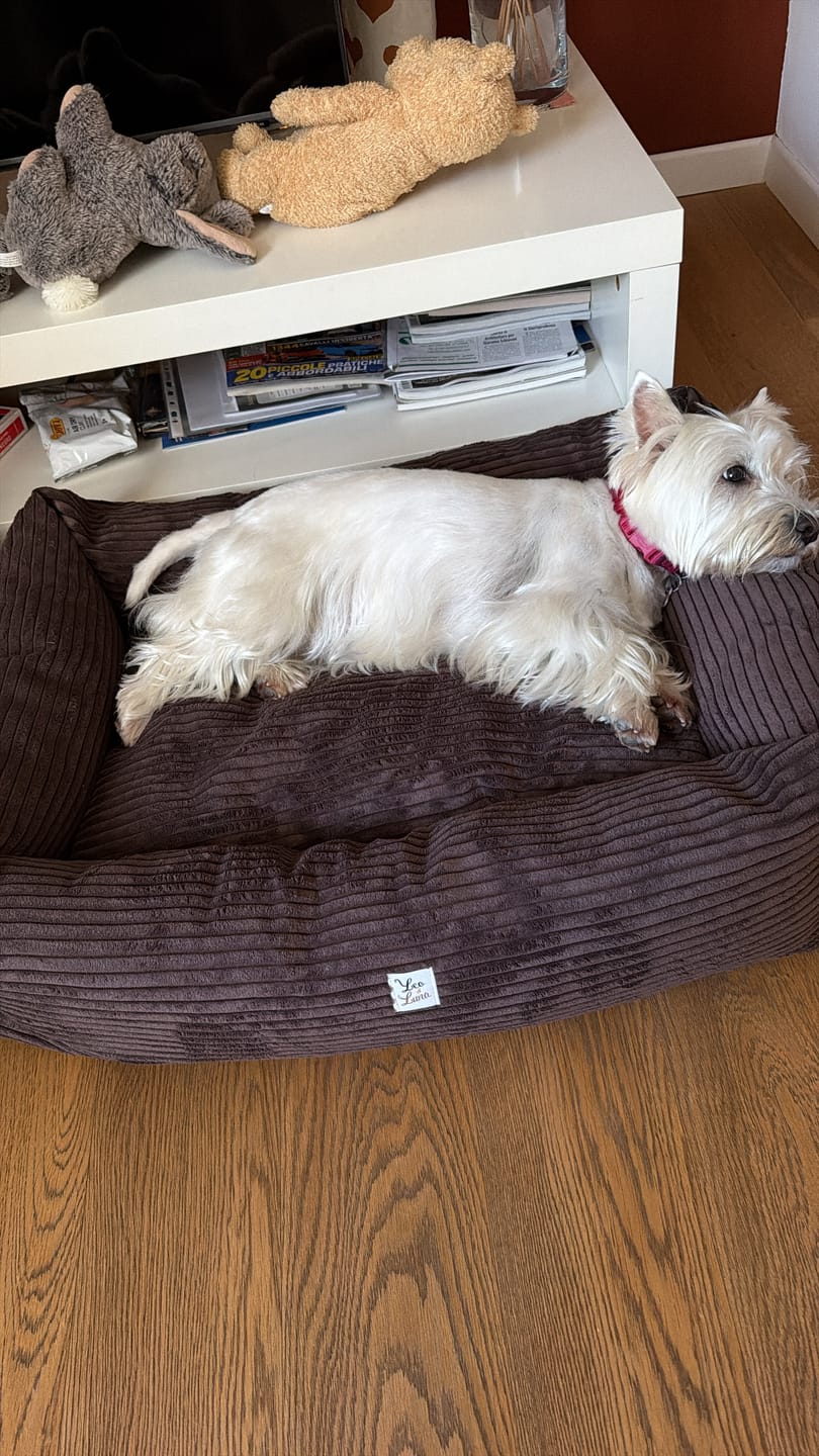 Customer photo review of Divanetto Velluto a Coste Cioccolato