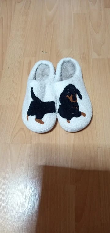 Customer photo review of Women's Dachshund Plush House Slippers, Warm Indoor Slides