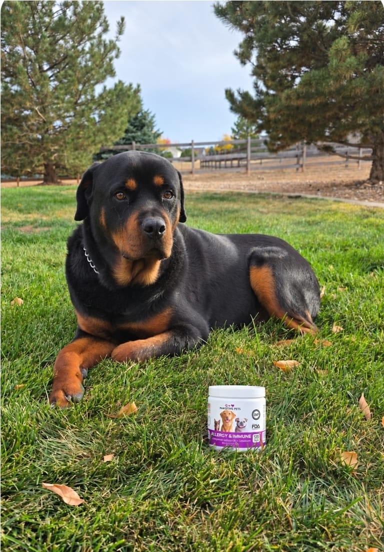 Customer photo review of Dog Allergy Chews for Itchy Skin, Paw Licking & Seasonal Allergies – Immune Support, 120 Soft Chews (Beef Flavor)