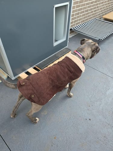 Customer photo review of CozyCube Coldroom Panel Insulated Dog House/Kennel