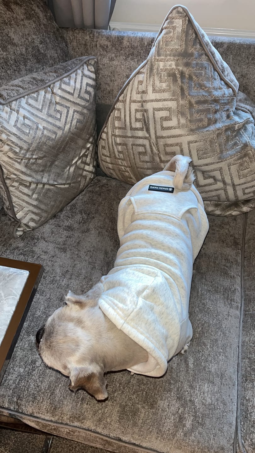 Customer photo review of Essential Dog Hoodies
