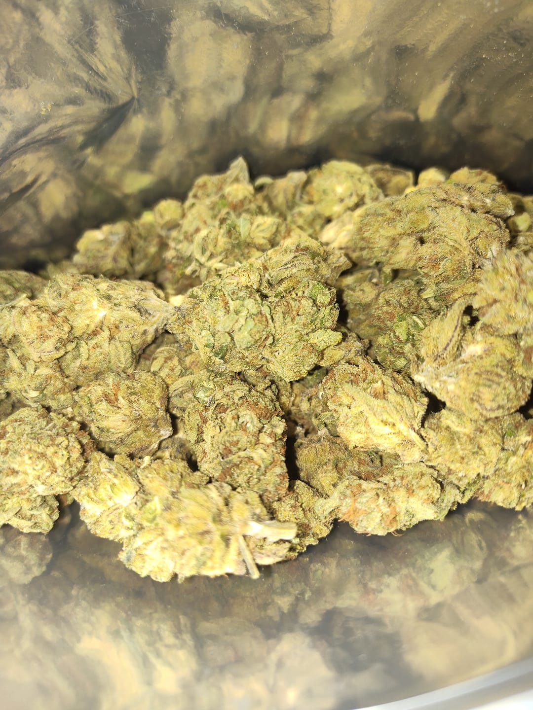 Customer photo review of Cheap THCA Flower Quarter Pound