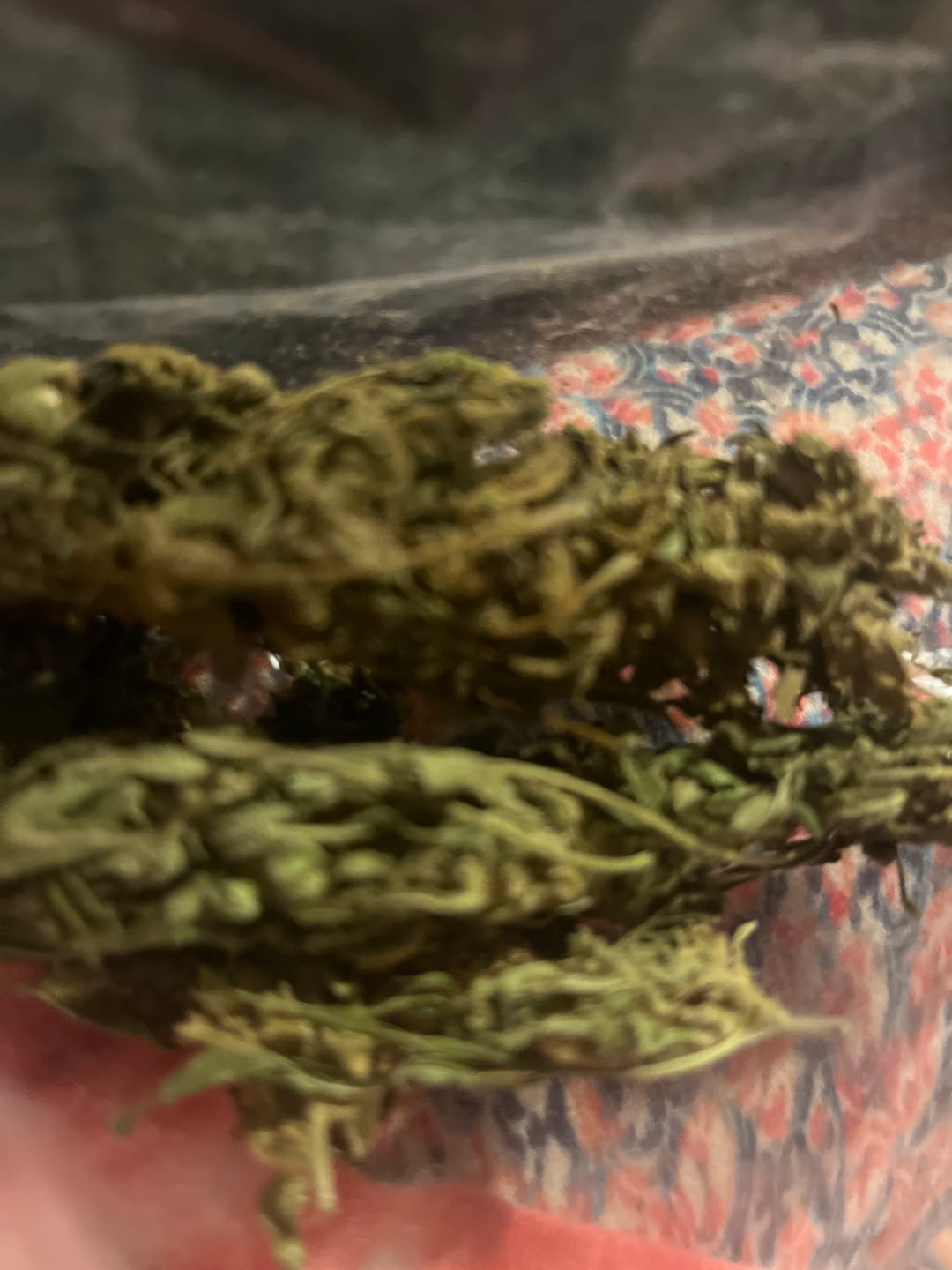 Customer photo review of Cheap THCA Flower Quarter Pound