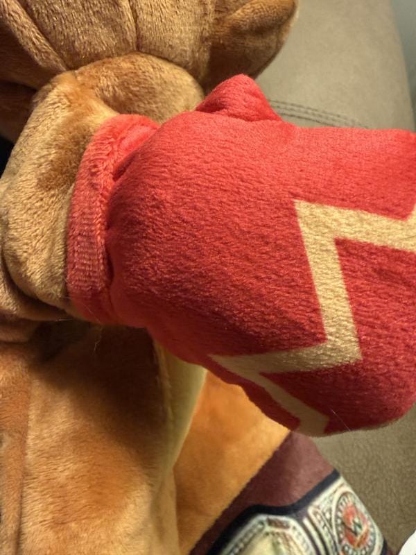 Customer photo review of Boxing Buddies Cat Toy