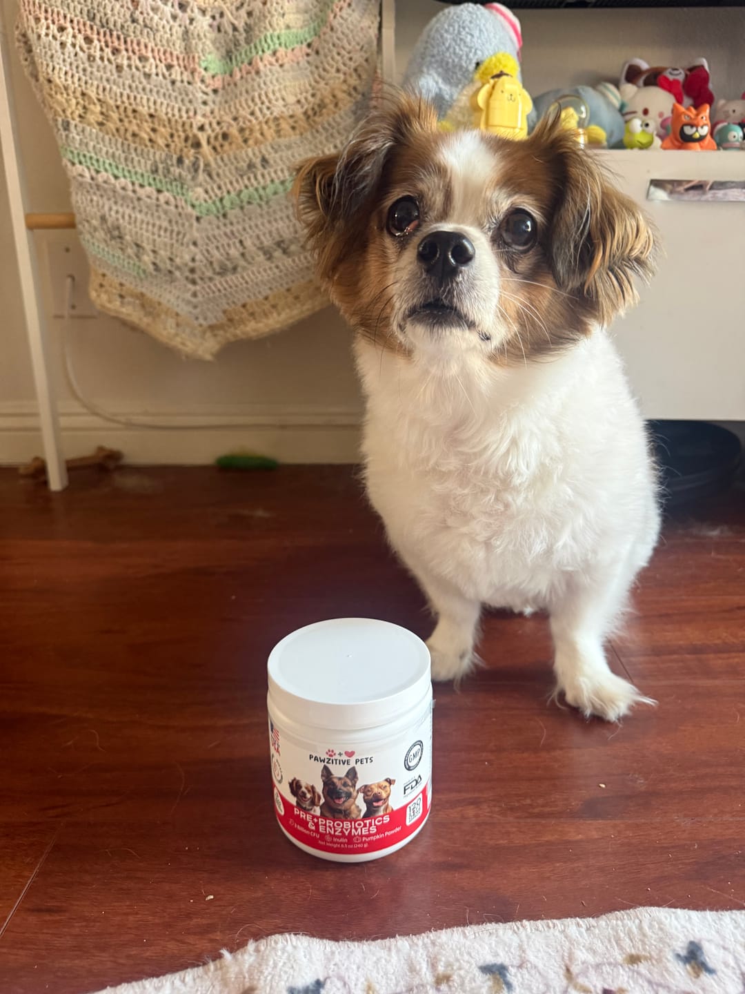 Customer photo review of Pre+Probiotics for Dogs Digestive Health – 120 Soft Chews (Beef Flavor)
