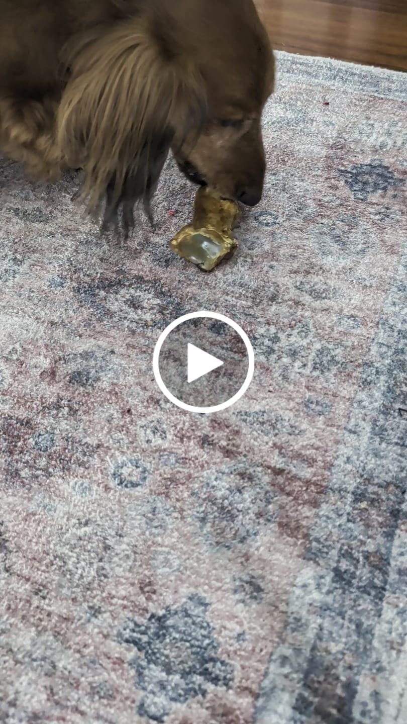 Customer video review of Welcome Pack: Light Chewer