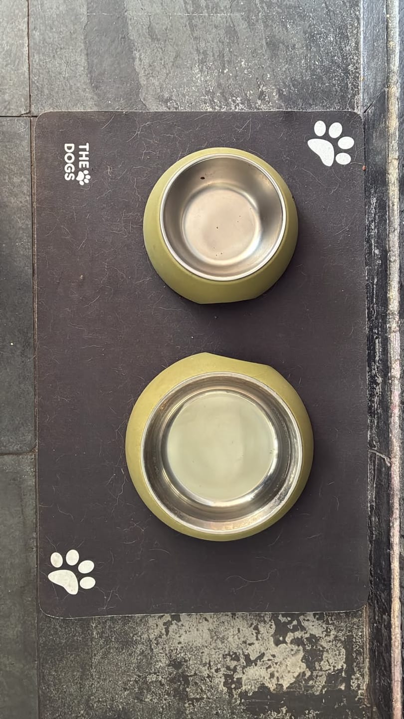 Customer photo review of Mat Absorbente para Alimentación — Absorbe derrames al instante