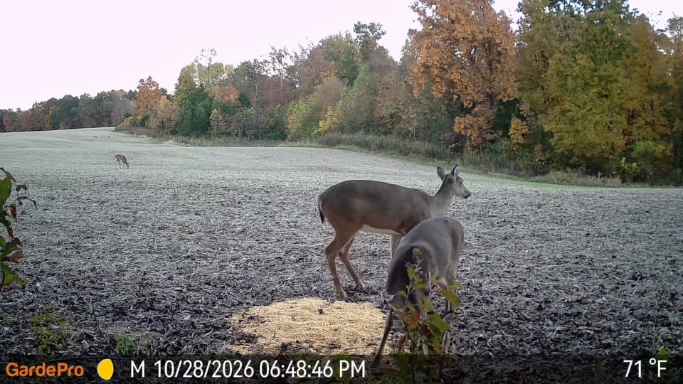 Customer photo review of GardePro X66 Pro Cellular Trail Camera