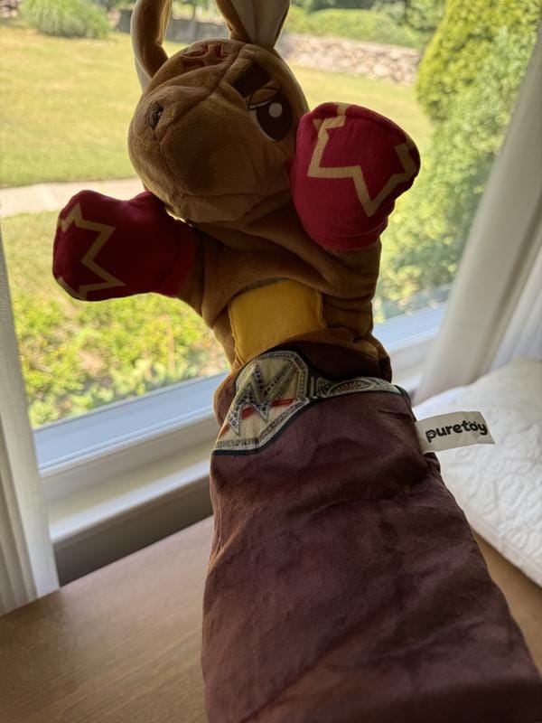 Customer photo review of Boxing Buddies Cat Toy