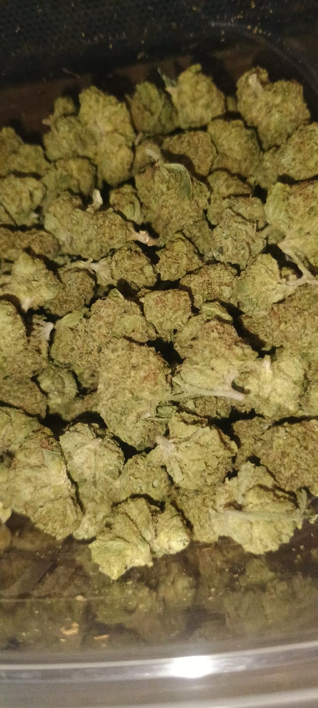 Customer photo review of Light Assist THCA Smalls