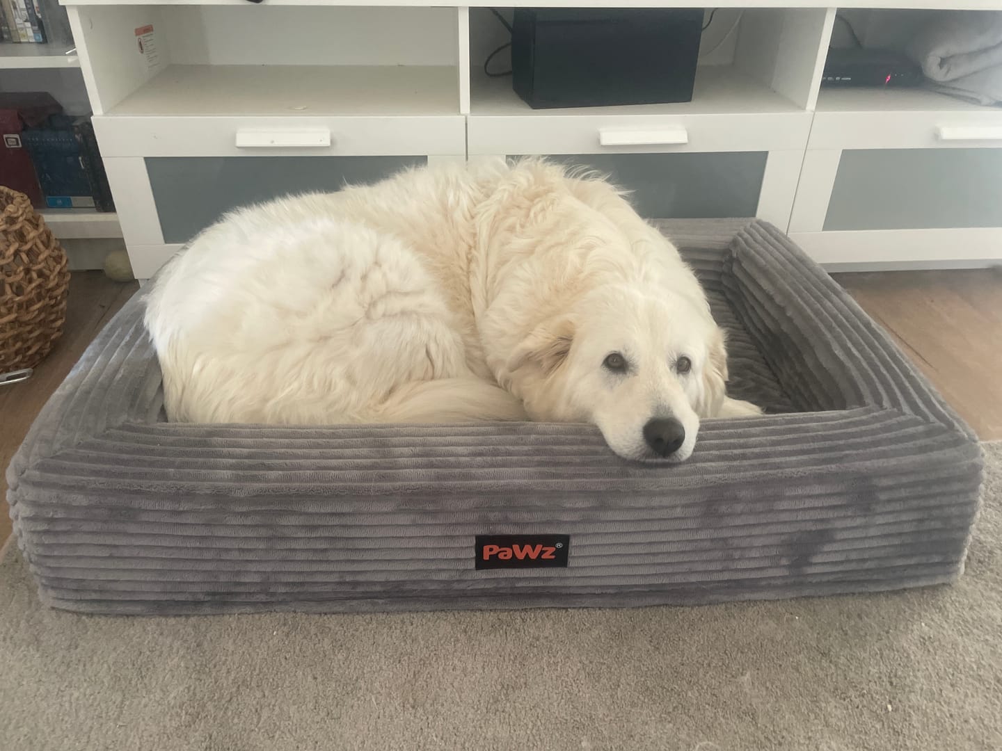 Customer photo review of Pet Calming Bed – Waterproof & Washable