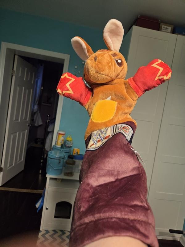 Customer photo review of Boxing Buddies Cat Toy