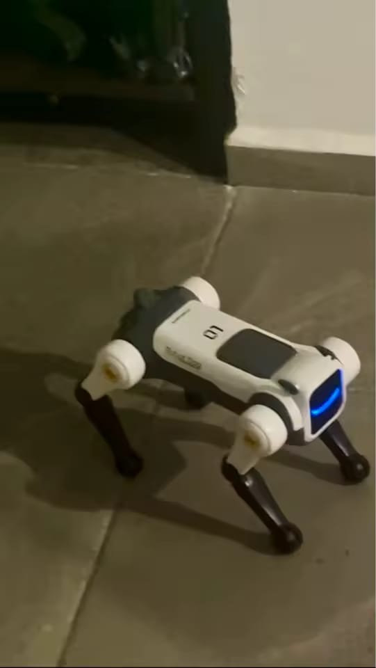 Customer photo review of Chien robot intelligent