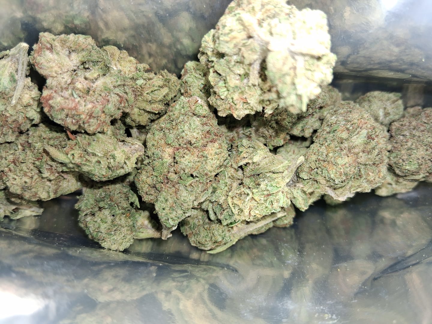 Customer photo review of Gorilla Glue THCA Flower