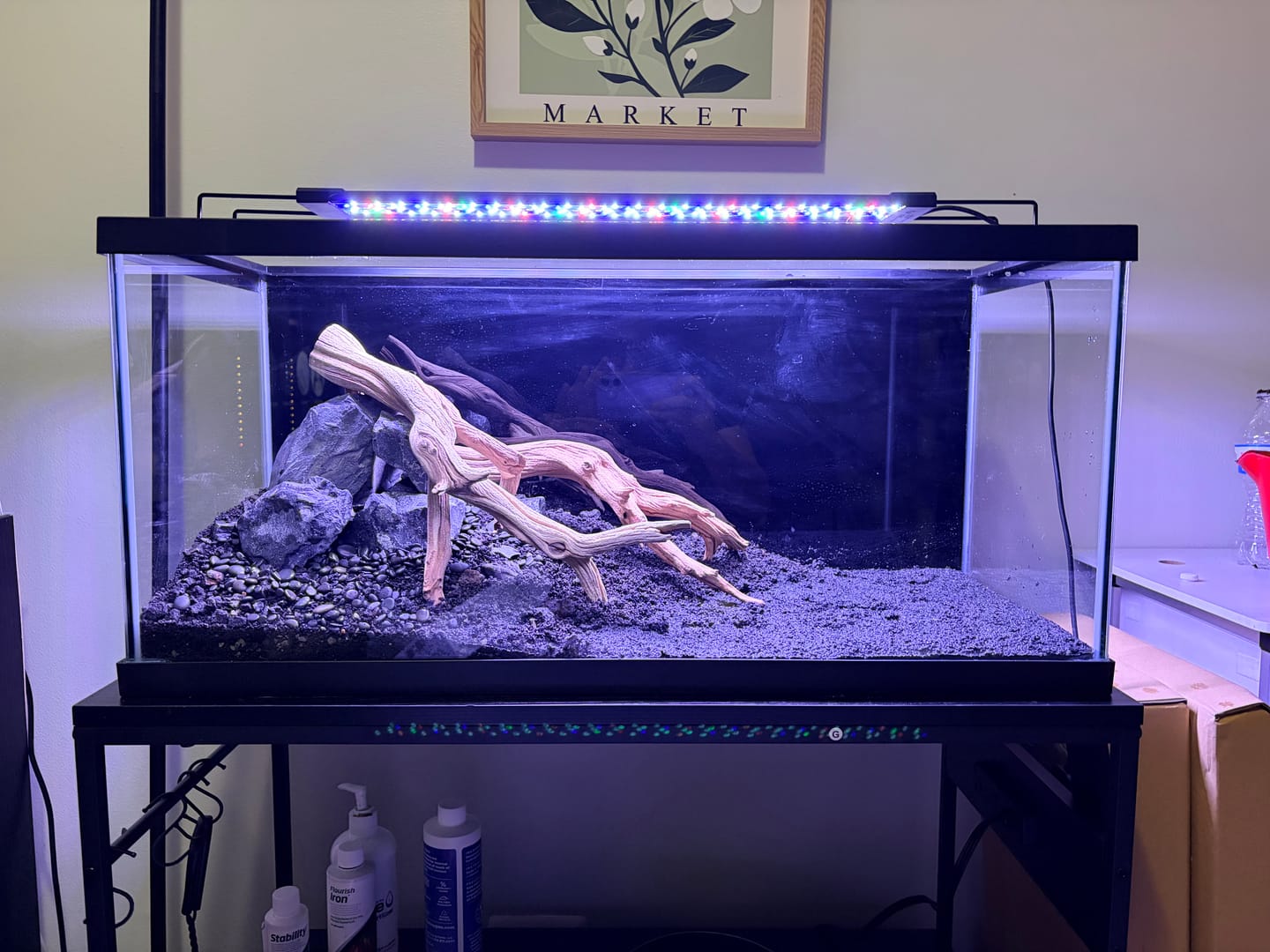 Customer photo review of WIO - Black Venom Stone