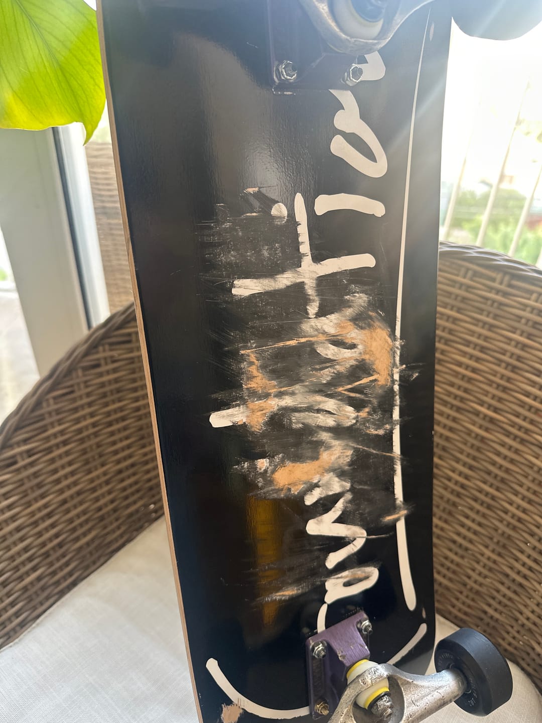 Customer photo review of Foundation - Tabla Swank Script  8.5
