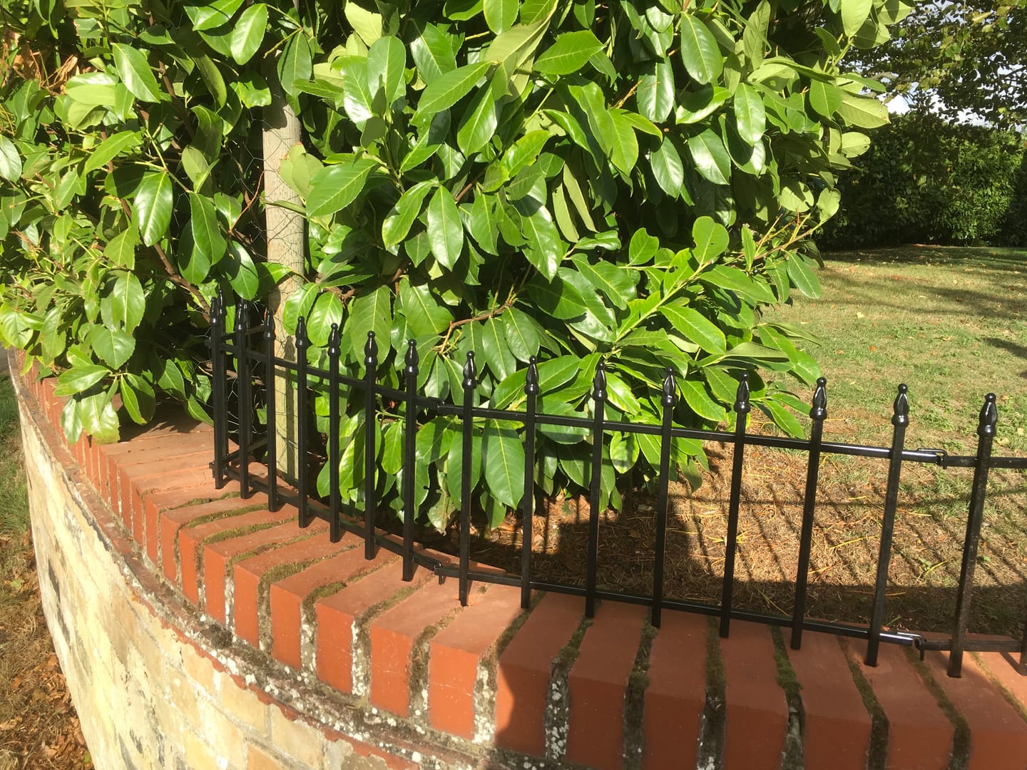 Customer photo review of Thealyn Metal Garden Fence, No-Dig Dog & Flower Bed Fence