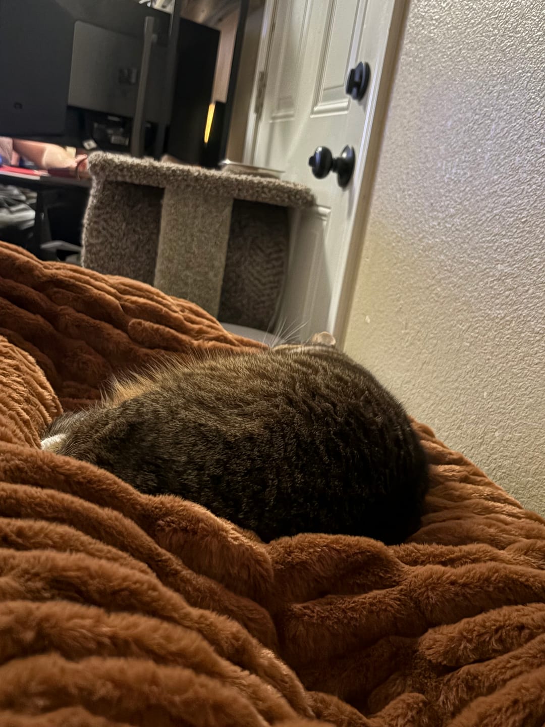 Customer photo review of Hugs Bavarian Pretzel Blanket