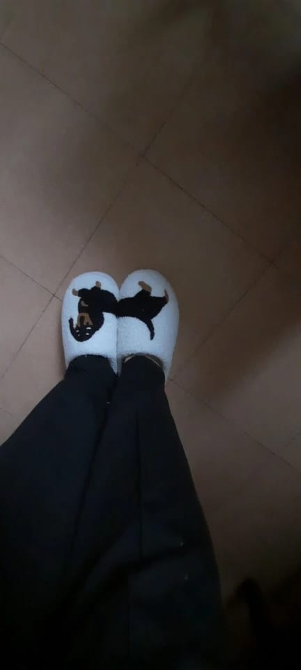 Customer photo review of Women's Dachshund Plush House Slippers, Warm Indoor Slides